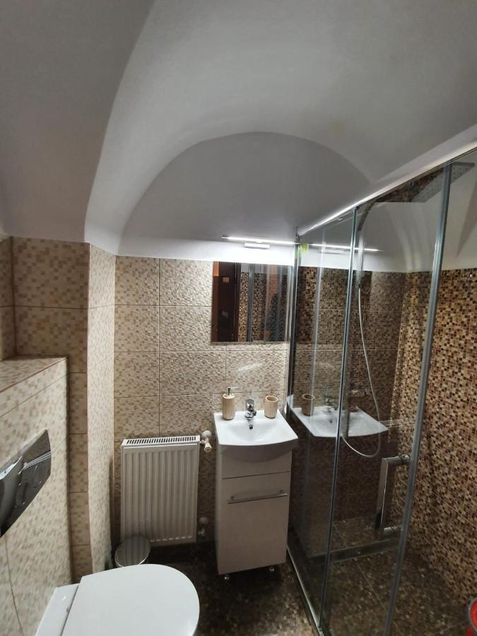 Radu Apartament Lejlighed Sibiu Eksteriør billede