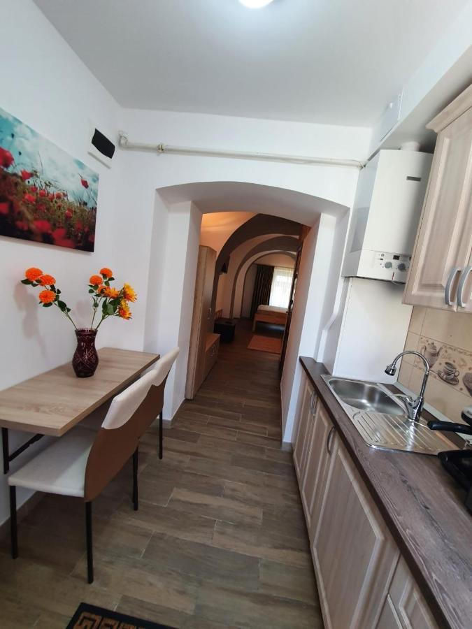Radu Apartament Lejlighed Sibiu Eksteriør billede