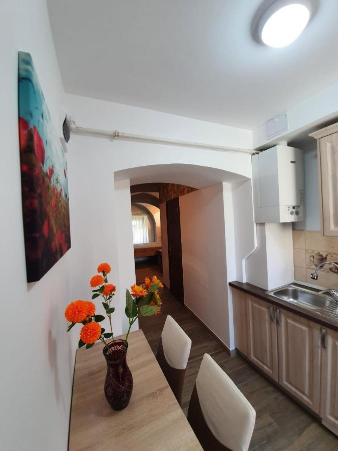 Radu Apartament Lejlighed Sibiu Eksteriør billede